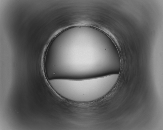 X0000100311480200806051318