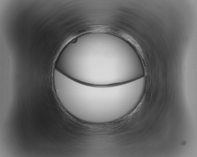X0000100311481200806051318