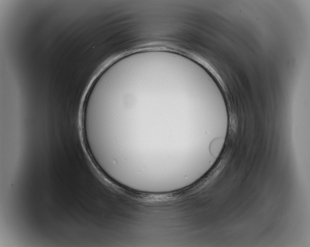 X0000100311482200806051318