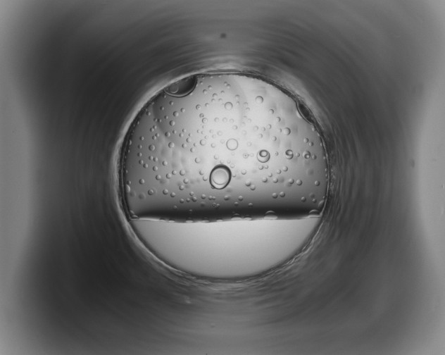 X0000100311483200806051318