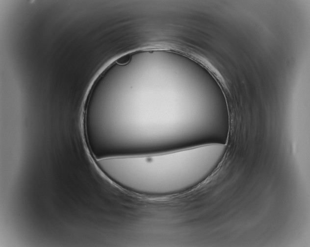 X0000100311484200806051318
