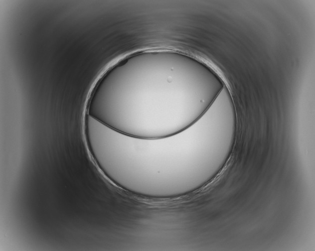 X0000100311485200806051318