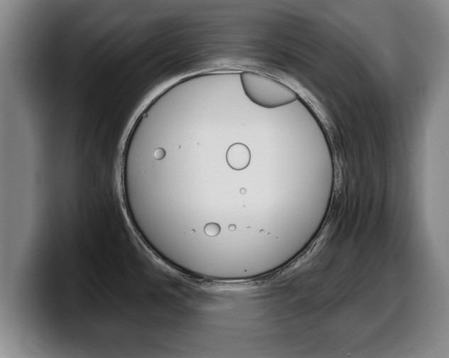 X0000100311486200806051318