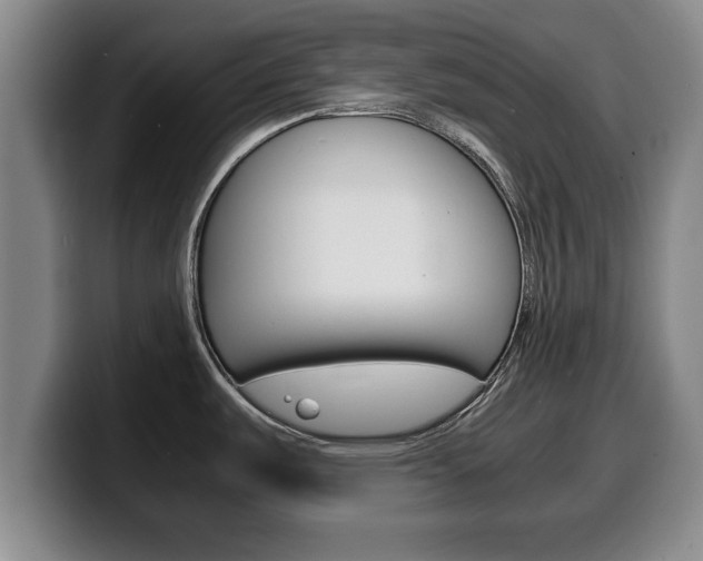 X0000100311487200806051318