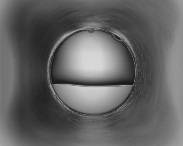 X0000100311488200806051318