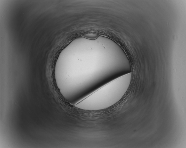 X0000100311489200806051317