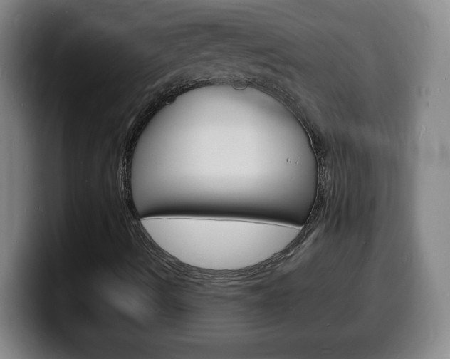 X0000100311490200806051317