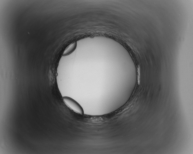 X0000100311491200806051317