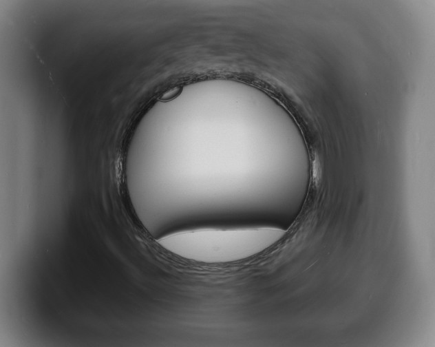 X0000100311492200806051317