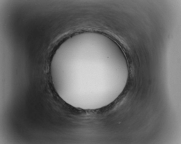 X0000100311494200806051317
