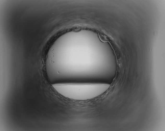 X0000100311495200806051317