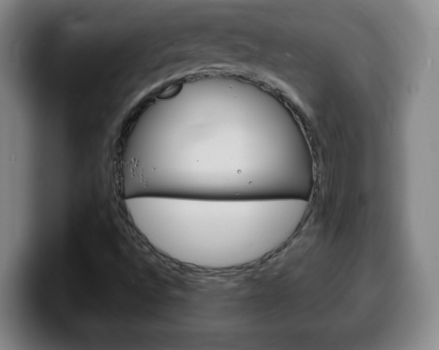 X0000100311496200806051317