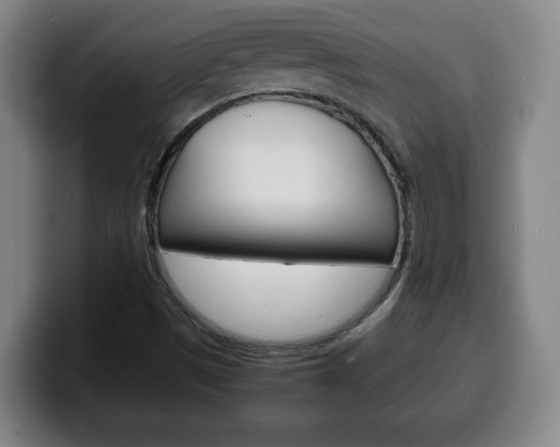 X0000100311497200806051317