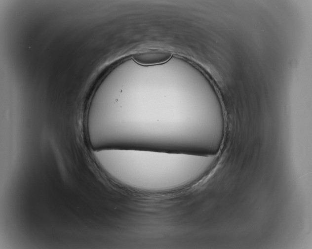 X0000100311499200806051317