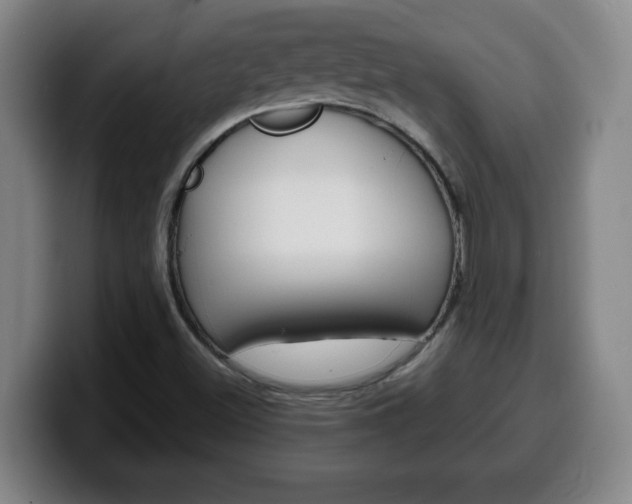 X0000100311500200806051317