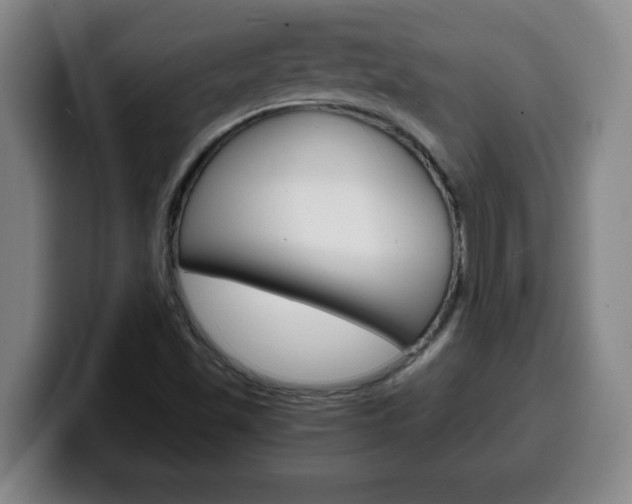 X0000100311501200806051317
