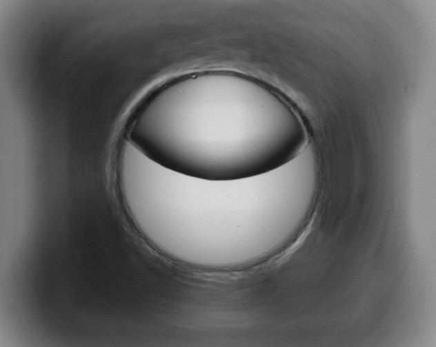 X0000100311502200806051317