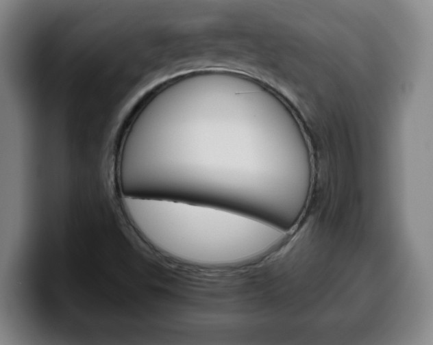 X0000100311503200806051317