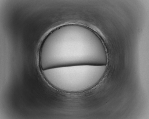 X0000100311504200806051317