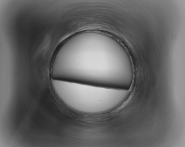X0000100311505200806051317