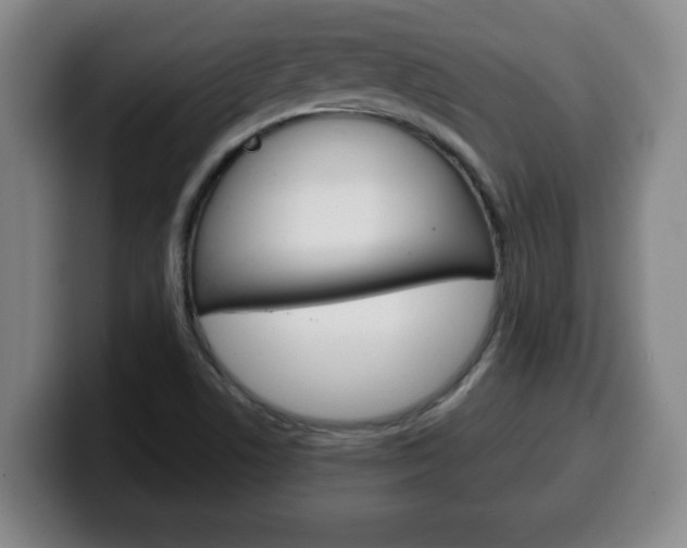 X0000100311506200806051317