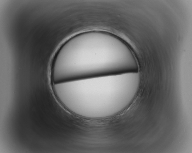 X0000100311508200806051317