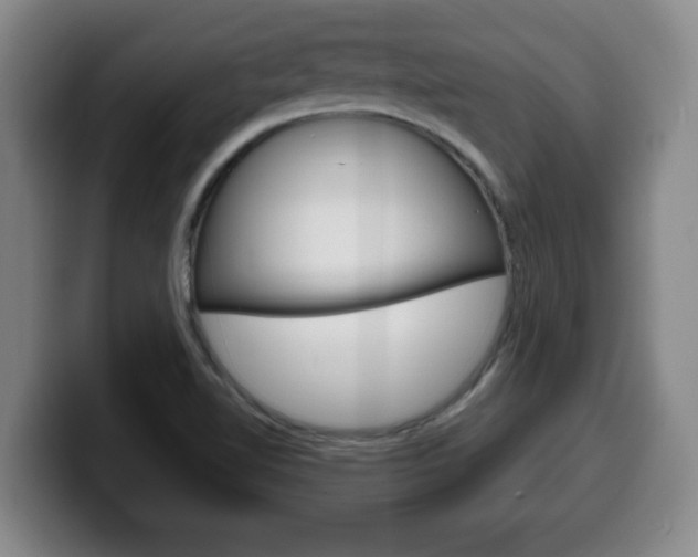 X0000100311510200806051317