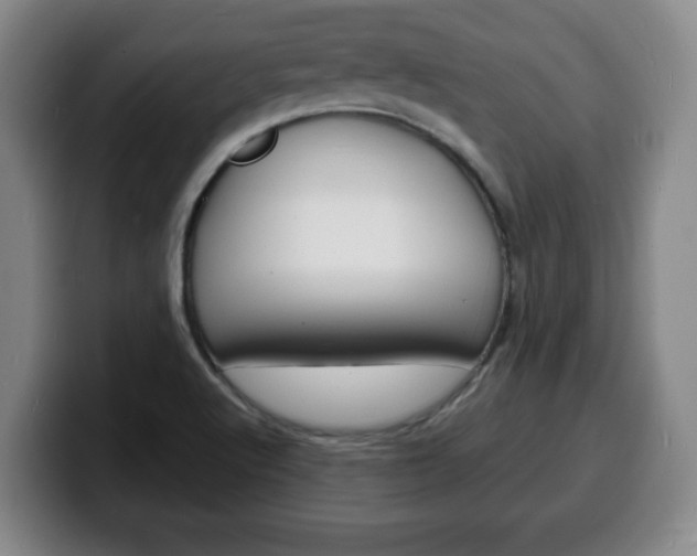 X0000100311512200806051317