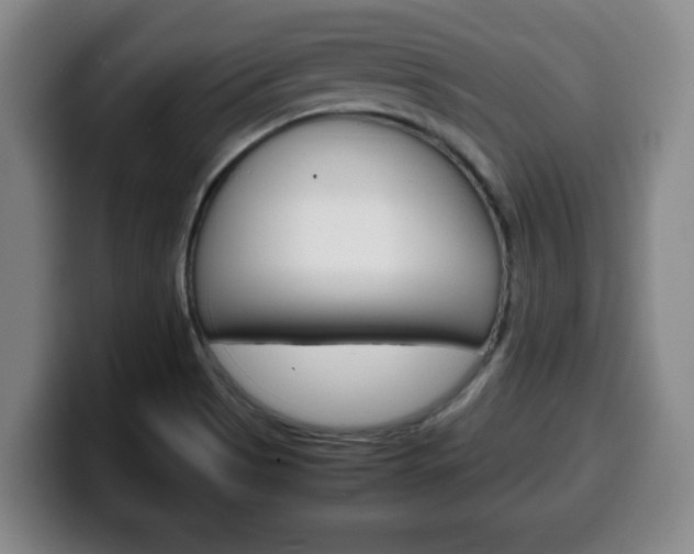 X0000100311513200806051317