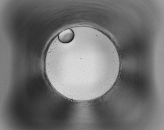 X0000100311514200806051317