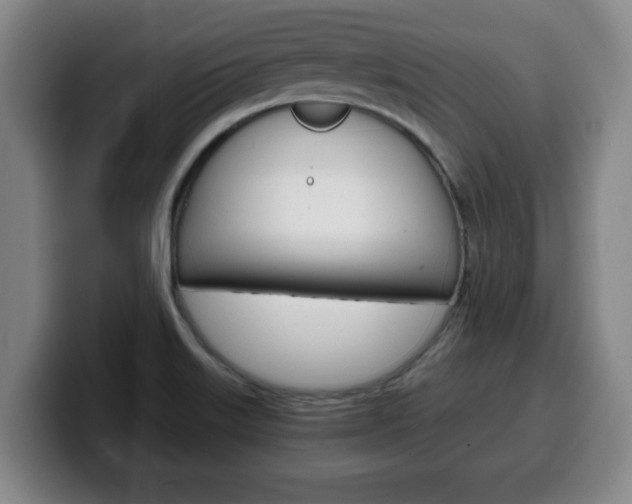 X0000100311515200806051317