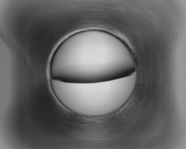 X0000100311516200806051317