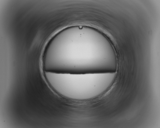 X0000100311517200806051317