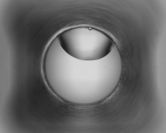X0000100311518200806051317