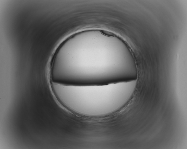 X0000100311519200806051317
