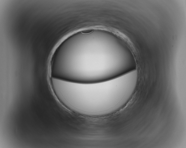 X0000100311520200806051317