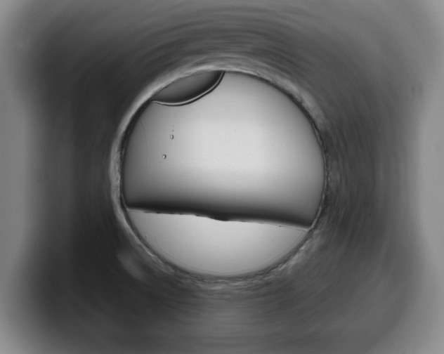 X0000100311522200806051317