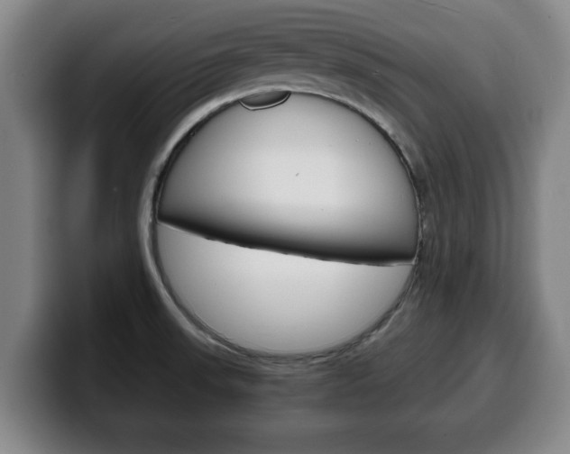 X0000100311523200806051317