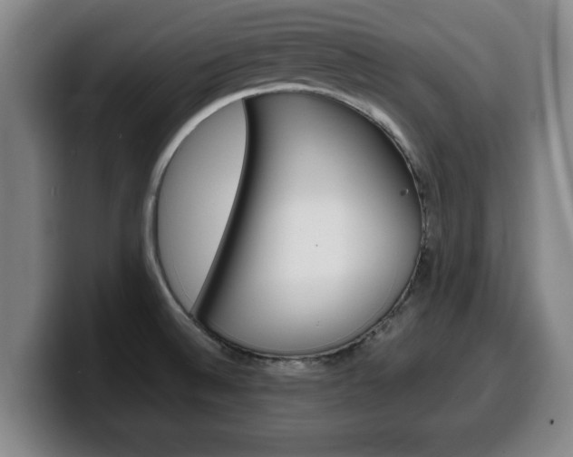X0000100311524200806051317