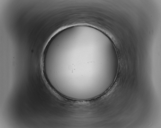 X0000100311526200806051317