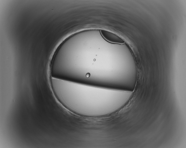 X0000100311527200806051317