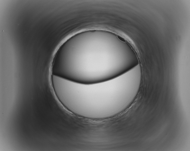 X0000100311528200806051318