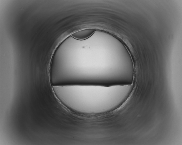 X0000100311529200806051318