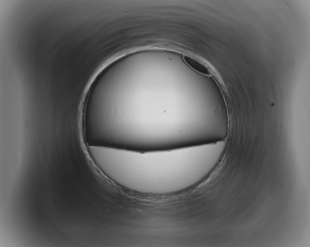 X0000100311530200806051318