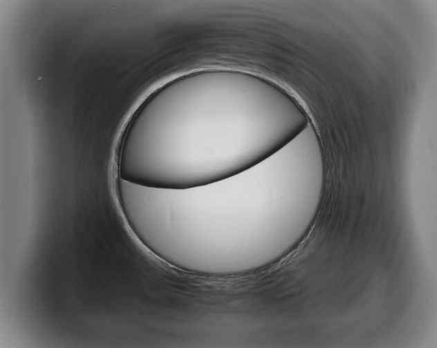 X0000100311531200806051318