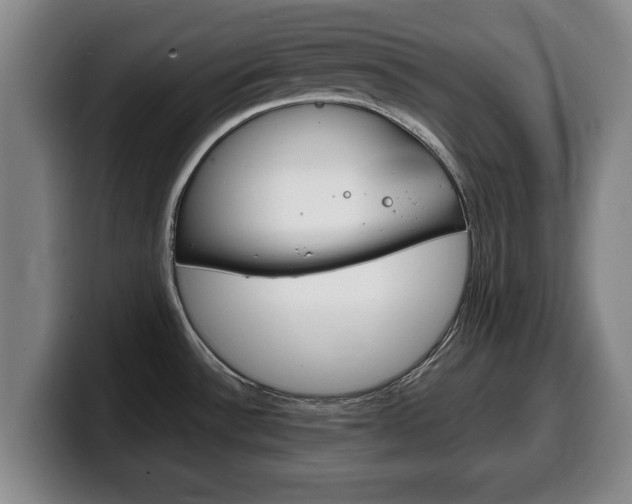 X0000100311532200806051318