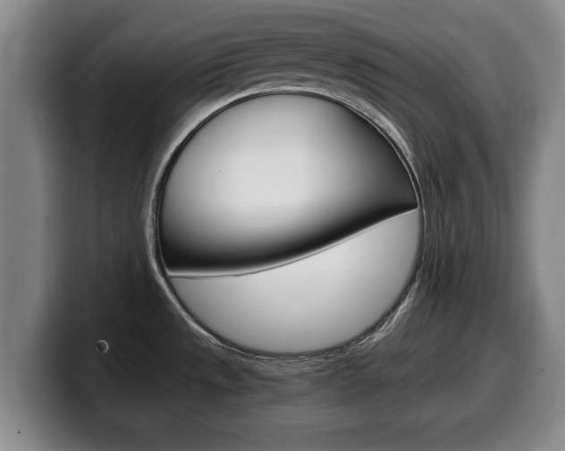 X0000100311533200806051318