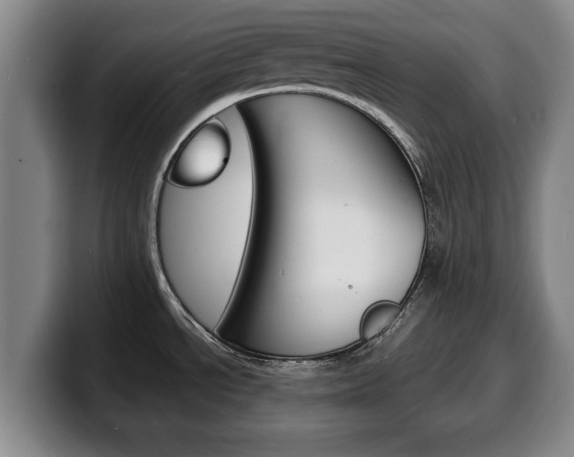 X0000100311534200806051318