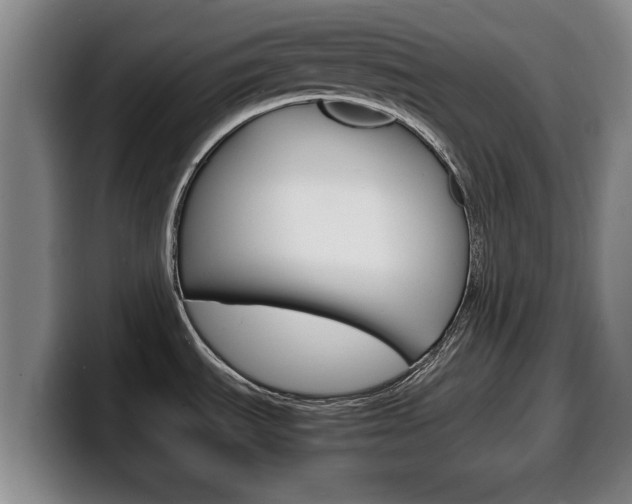 X0000100311535200806051318