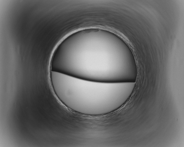 X0000100311536200806051318